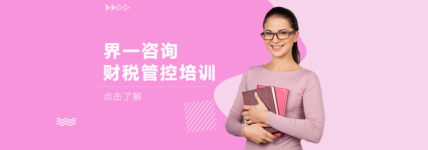 界一咨询