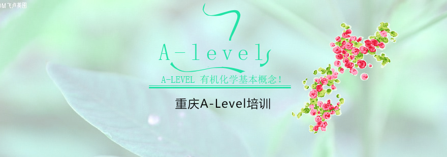 分子结构示意图