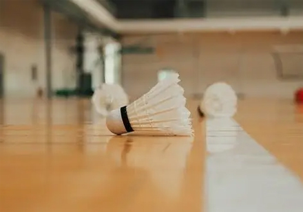 羽毛球智力开发训练课程解析