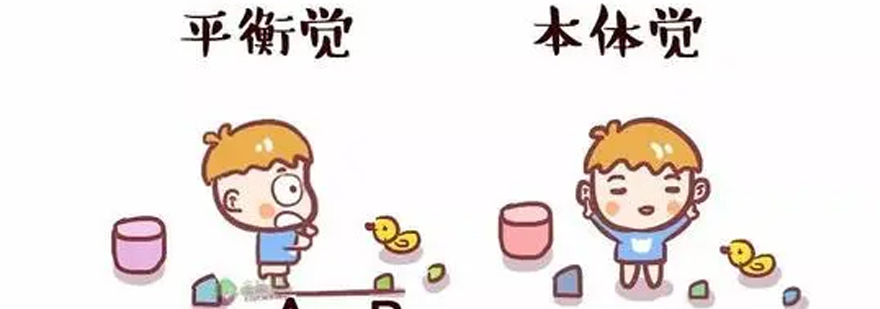 孤独症儿童感统训练示意图