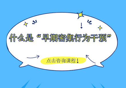 早期密集行为干预课程深度解析
