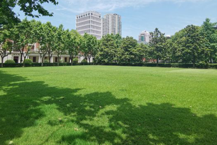 学校草坪