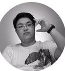  VICENT