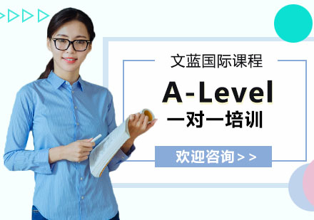 A-level课程一对一培训