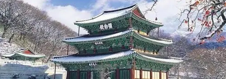 韩语学习误区对比分析