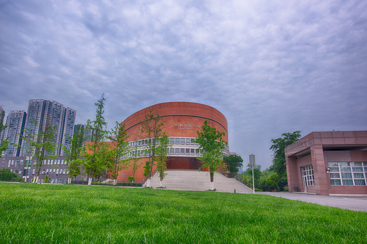 成都树德中学国际部图片