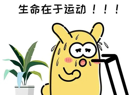公共营养师职业认证深度解析与报考指南
