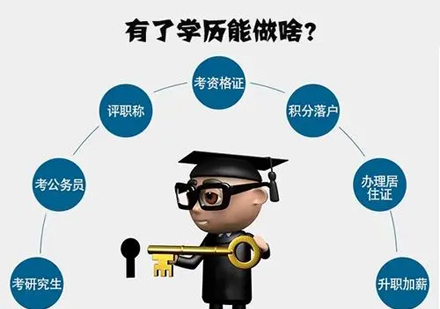 自考本科职业规划指南：考公考研路径与热门专业解析