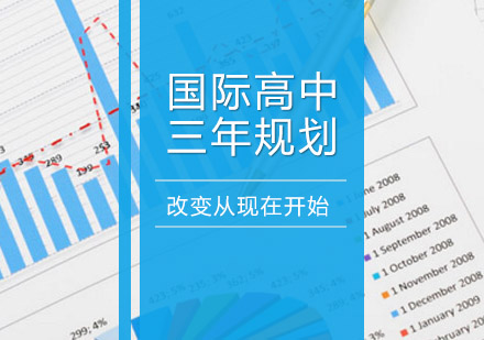 国际高中三年学业规划深度解析