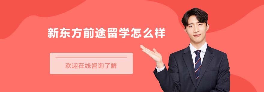 留學(xué)申請服務(wù)對比