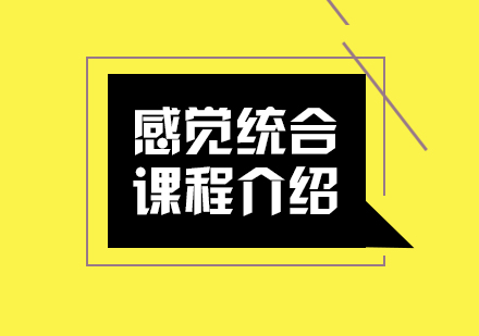 成都专业感统训练课程解析