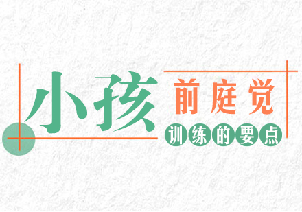 儿童前庭觉系统训练全攻略