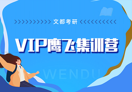 考研VIP鹰飞集训营