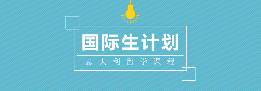 国际生计划服务流程