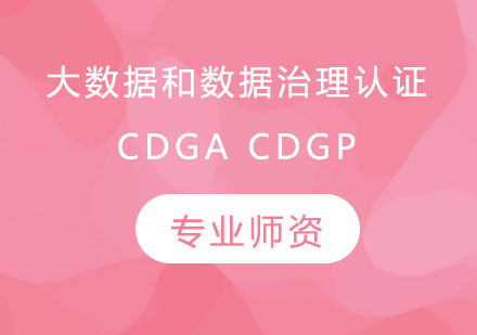 数据治理认证深度解析与实战培训指南