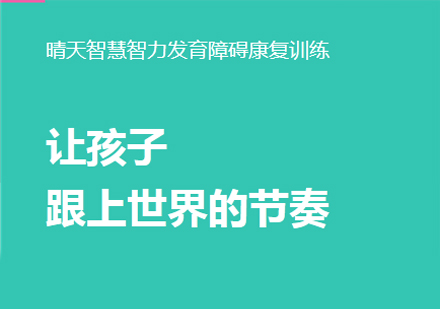 智力发育障碍康复训练