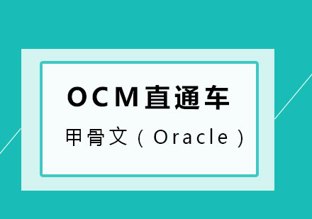 甲骨文（Oracle）培训  OCM直通车