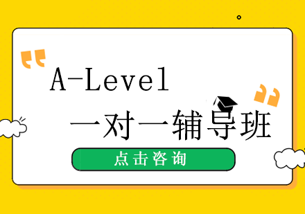 A-level一对一辅导班