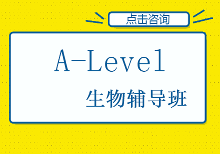 A-Level生物辅导班