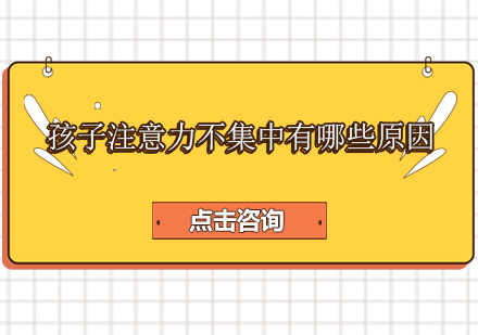 儿童专注力培养的科学解析与解决方案