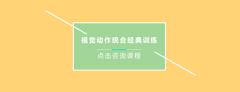 广州视觉动作统合经典训练培训班