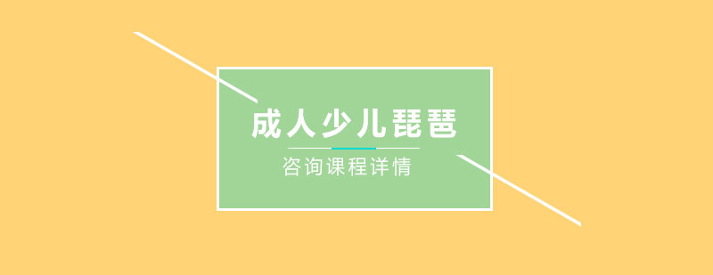 琵琶教学现场