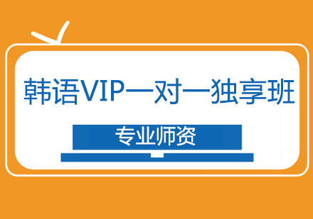 韩语VIP一对一独享班