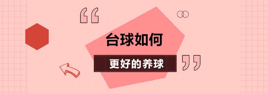 台球如何更好的养球