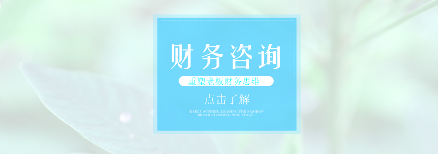 企业财务管理咨询