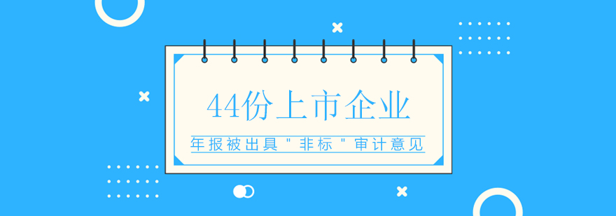 年报审计数据图示