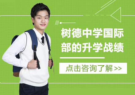 树德国际部名校录取突破性表现