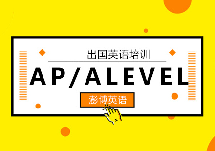 AP/ALEVEL课程