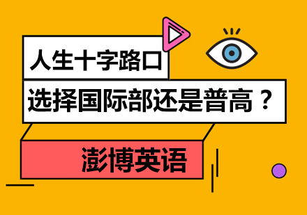 国际部与普通高中升学路径深度解析
