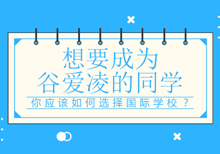 成都斯坦福录取路径解析：国际学校选择与升学策略