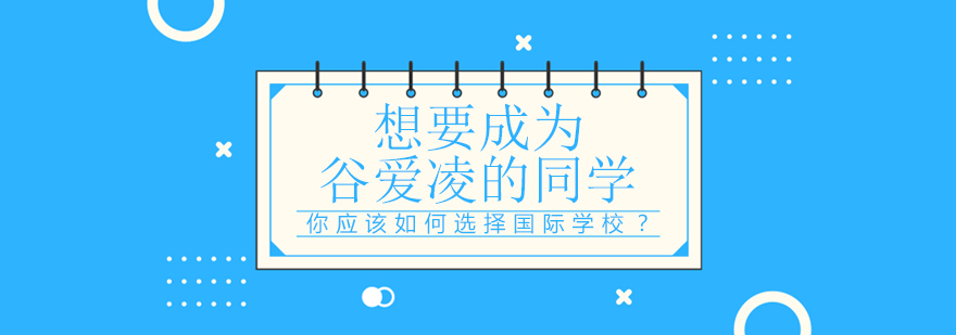 国际学校选择策略