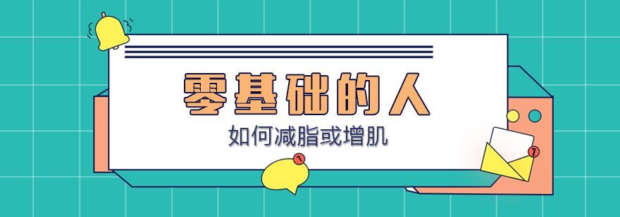 健身训练指导