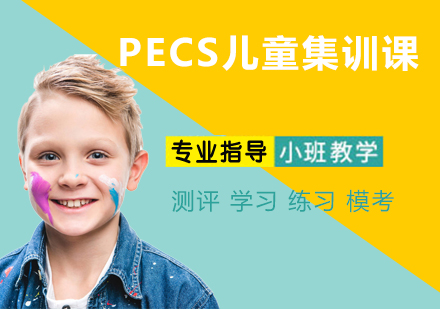 杭州PECS儿童集训课