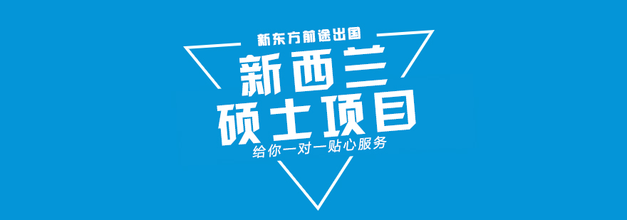 新西兰大学城景观