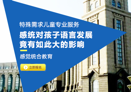 儿童语言发展中的感统训练关键要素解析