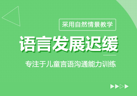 儿童语言发展迟缓课程