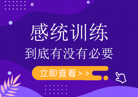儿童感统训练必要性深度解析