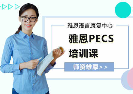  雅恩PECS培训课