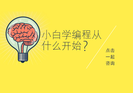 编程新手指南：从零开始掌握代码艺术