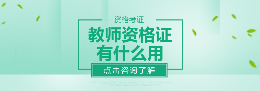 教师资格证职业发展