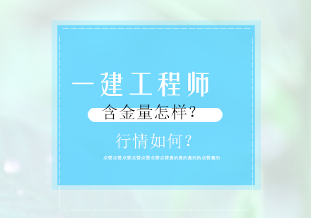 深度解析建造师专业价值与职业发展路径
