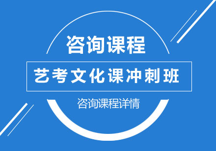 广州艺考文化课冲刺培训班