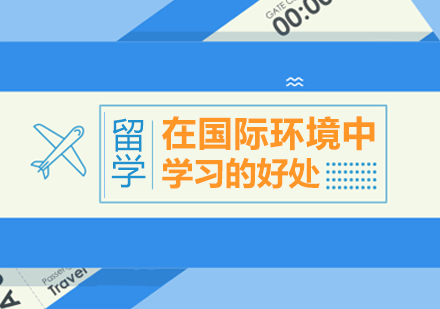 国际教育环境深度解析