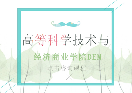 高等科学技术与经济商业学院DEM