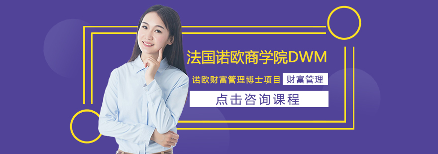 诺欧商学院DWM项目