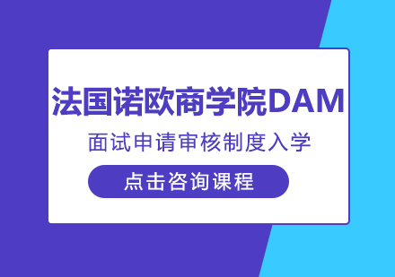 法国诺欧商学院DAM